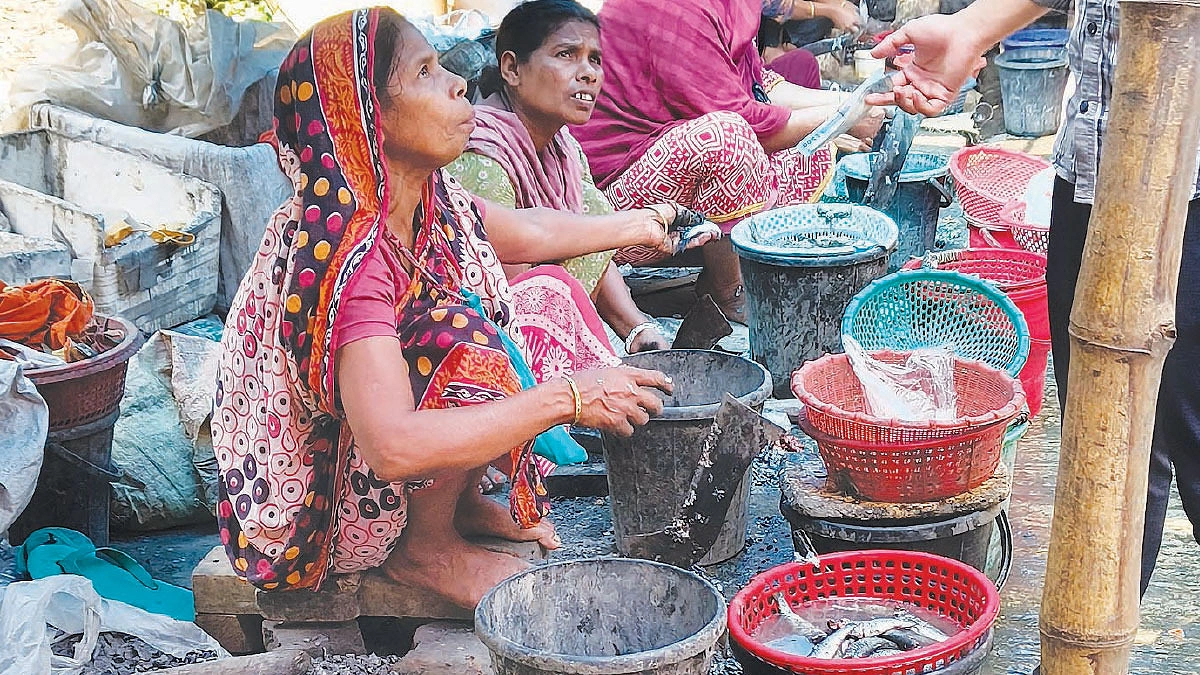মাছ কুটেই ঘুরছে  সংসারের চাকা