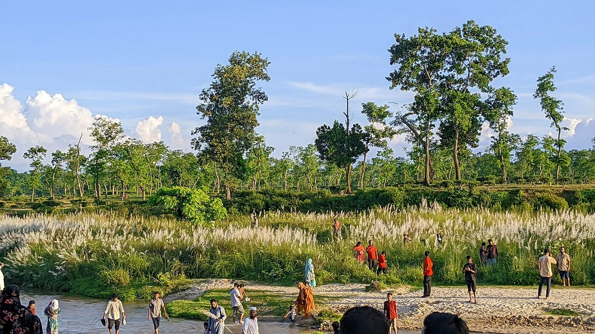 ভুড়ভুড়িয়ার কাশবন টানছে সবাইকে