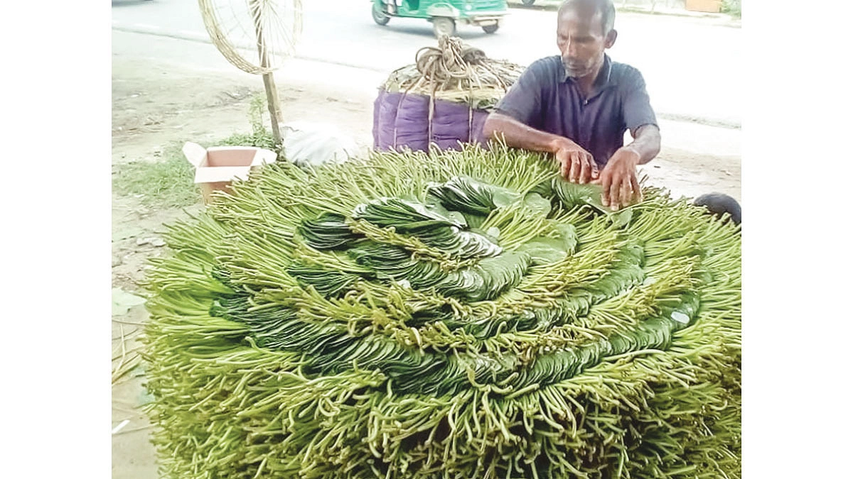 উৎপাদনে রেকর্ড, কপালের ভাঁজ সরছে না চাষিদের