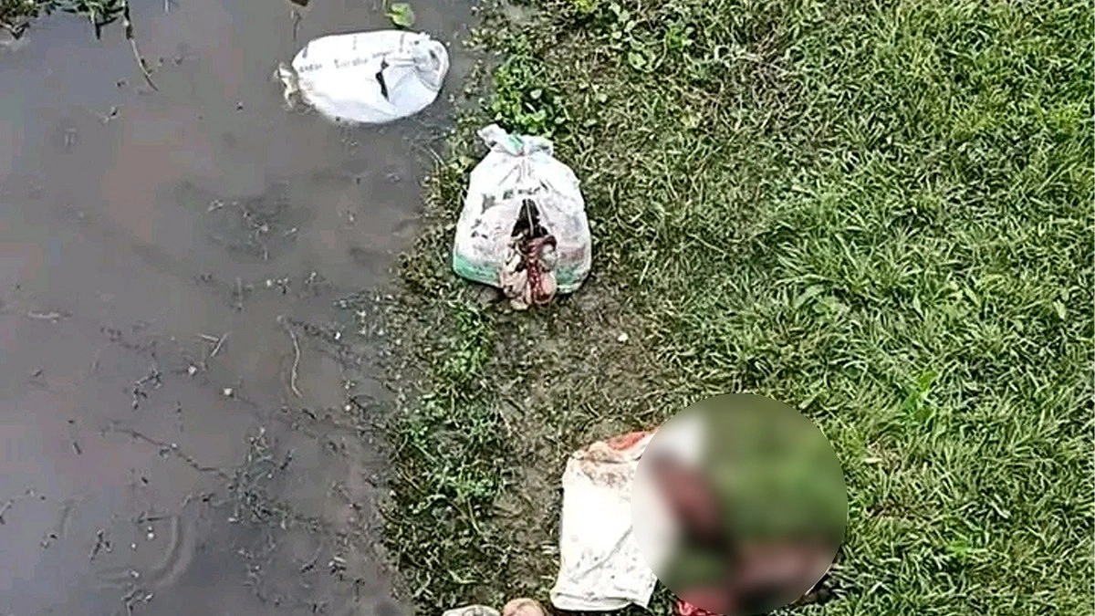 ব্রিজের নিচে মিলল ৩ বস্তা ঘোড়ার চামড়া ও মাথা