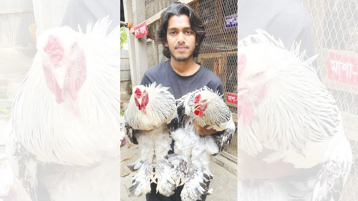 শখ থেকে সাফল্যের সখা