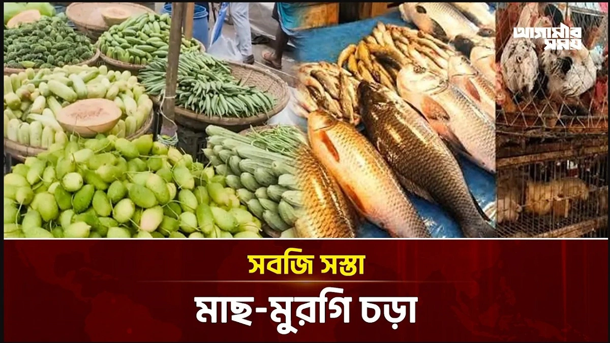 Video news 2