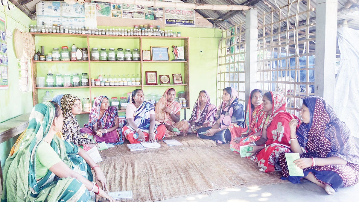 উপকূলে অল্পনার আশার বীজ