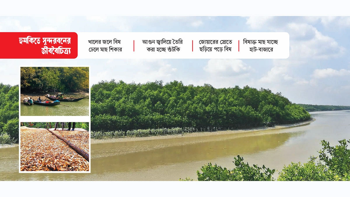 সুন্দরবনের জলে বিষ, বনে আগুন