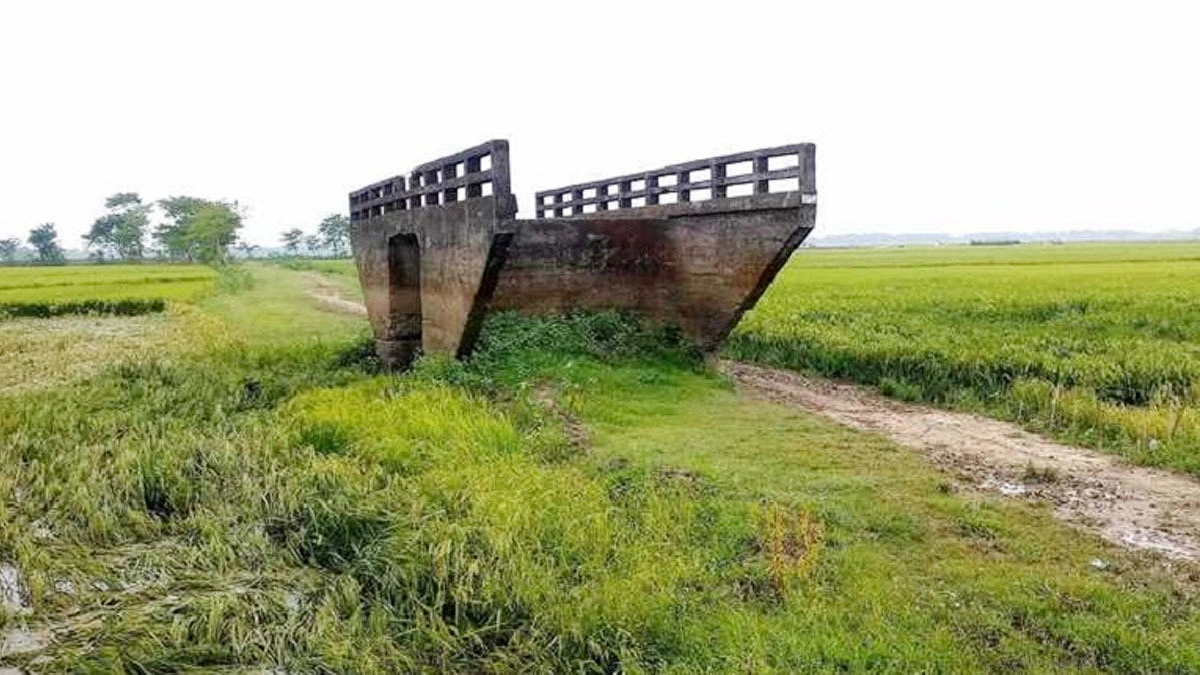 নিয়মিত রক্ষণাবেক্ষণ প্রয়োজন