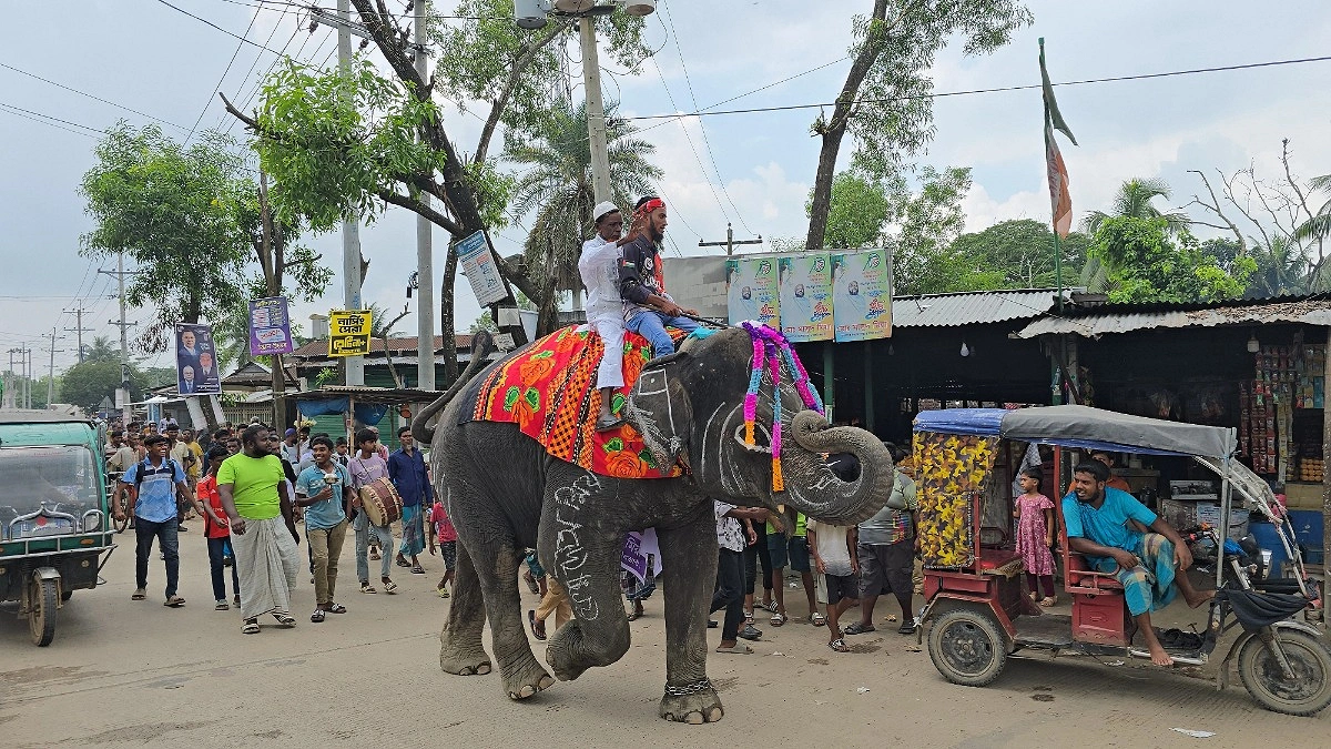 হাতির পিঠে চড়ে নির্বাচনী প্রচারে সেলুন ব্যবসায়ী ফেরদৌস
