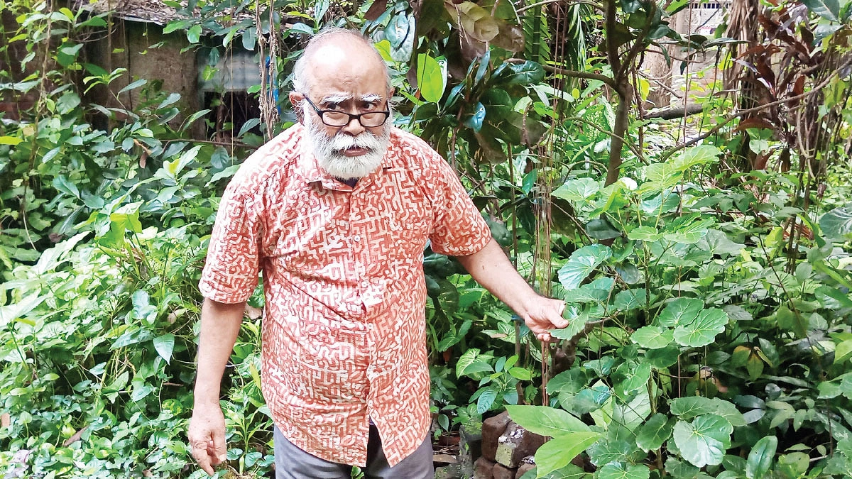 যে মানুষ বৃক্ষের