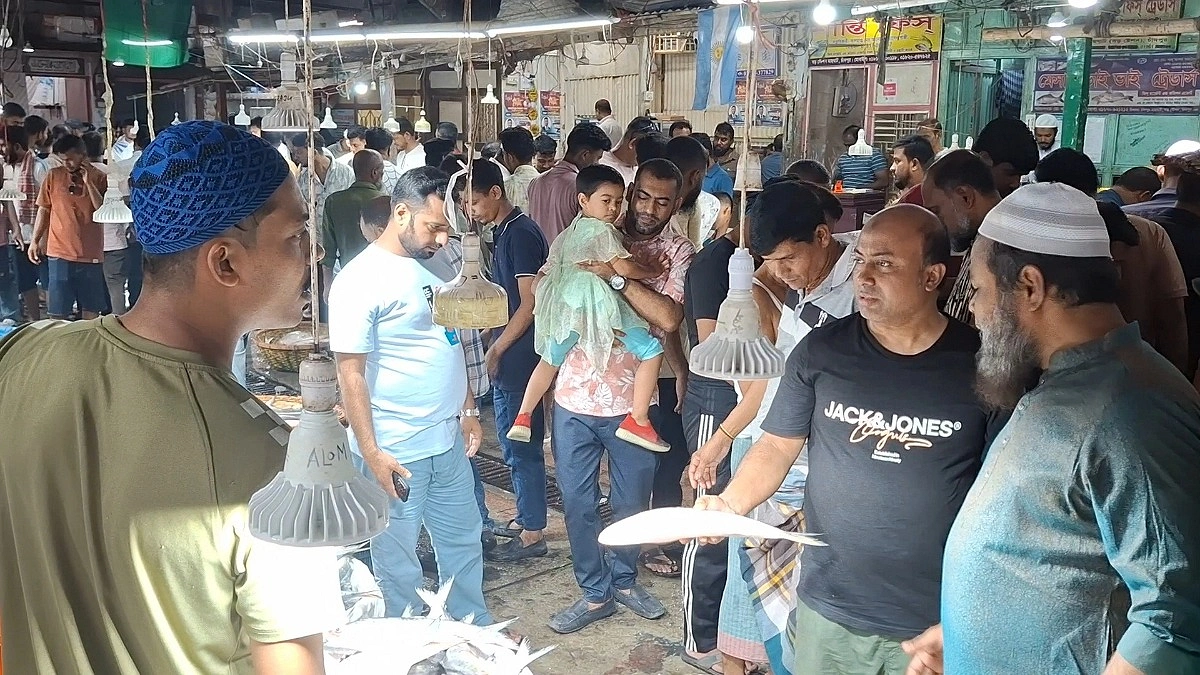 ‘ইলিশের দাম বাড়তেই দেখি, কমতে দেখি না’