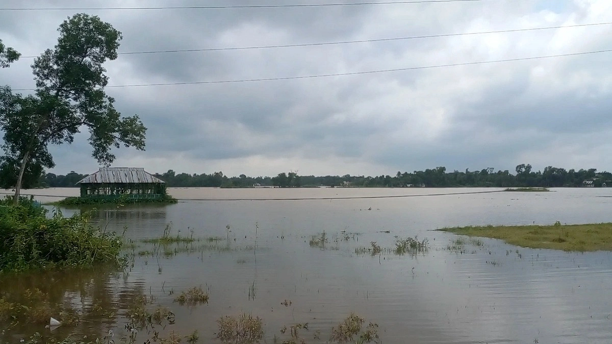 উজানের ঢলে তলিয়ে গেছে আখাউড়ার ২৫০ হেক্টর ধানের জমি