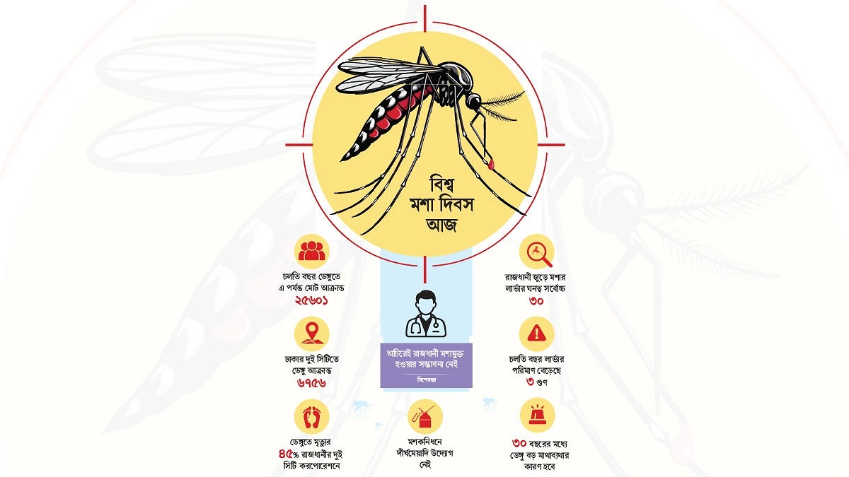 দিশাহারা ঢাকায় আশ্বাসেই আটকে মশানিধন