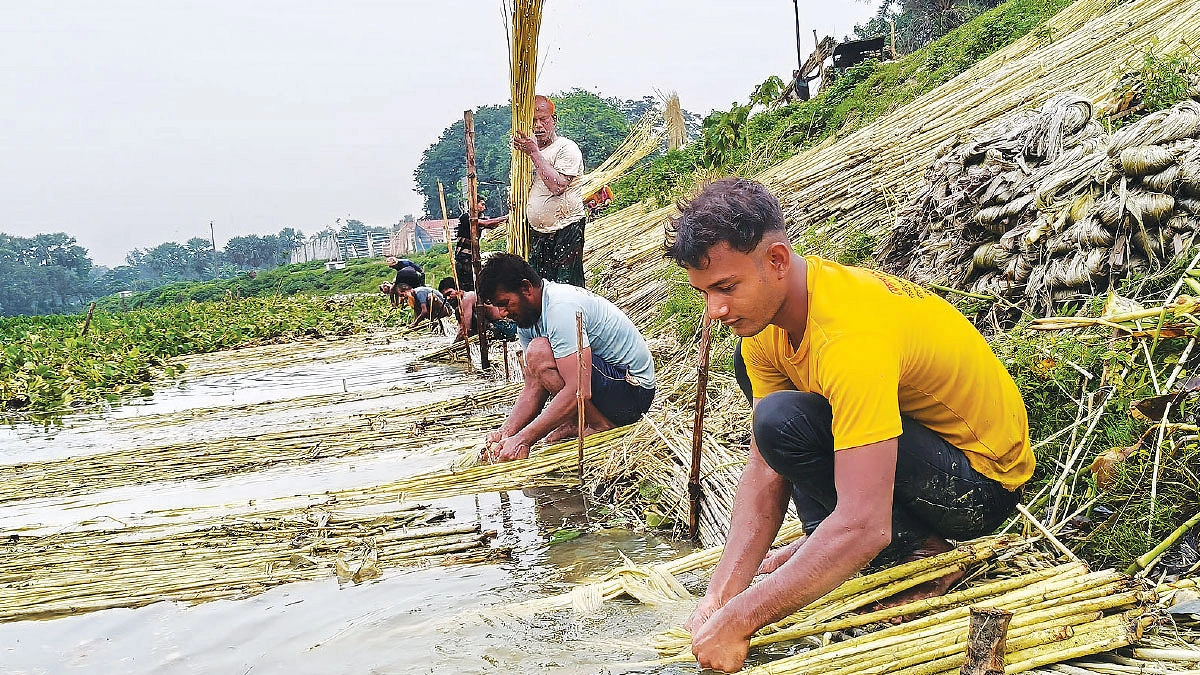 ফলনে হতাশা