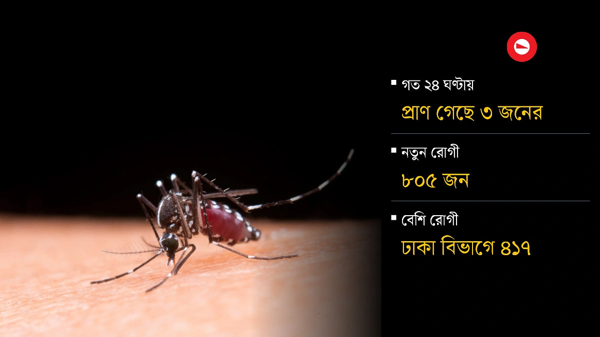 ডেঙ্গুতে এ বছর ৭০ মৃত্যু দেখল বাংলাদেশ