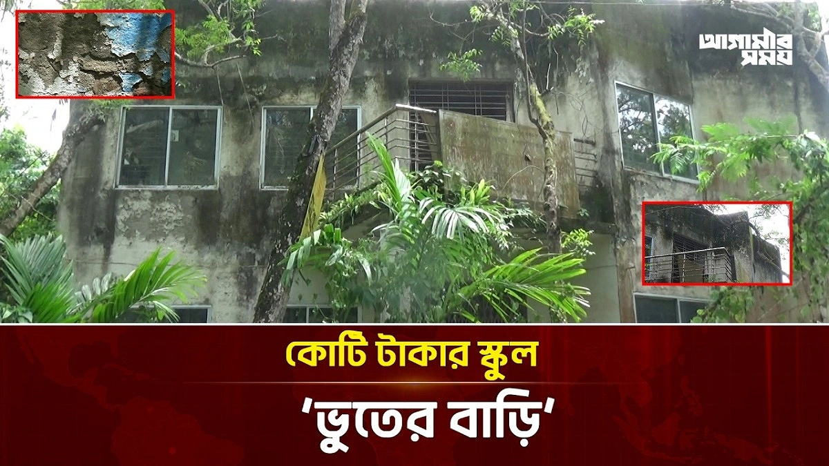 Video news 4