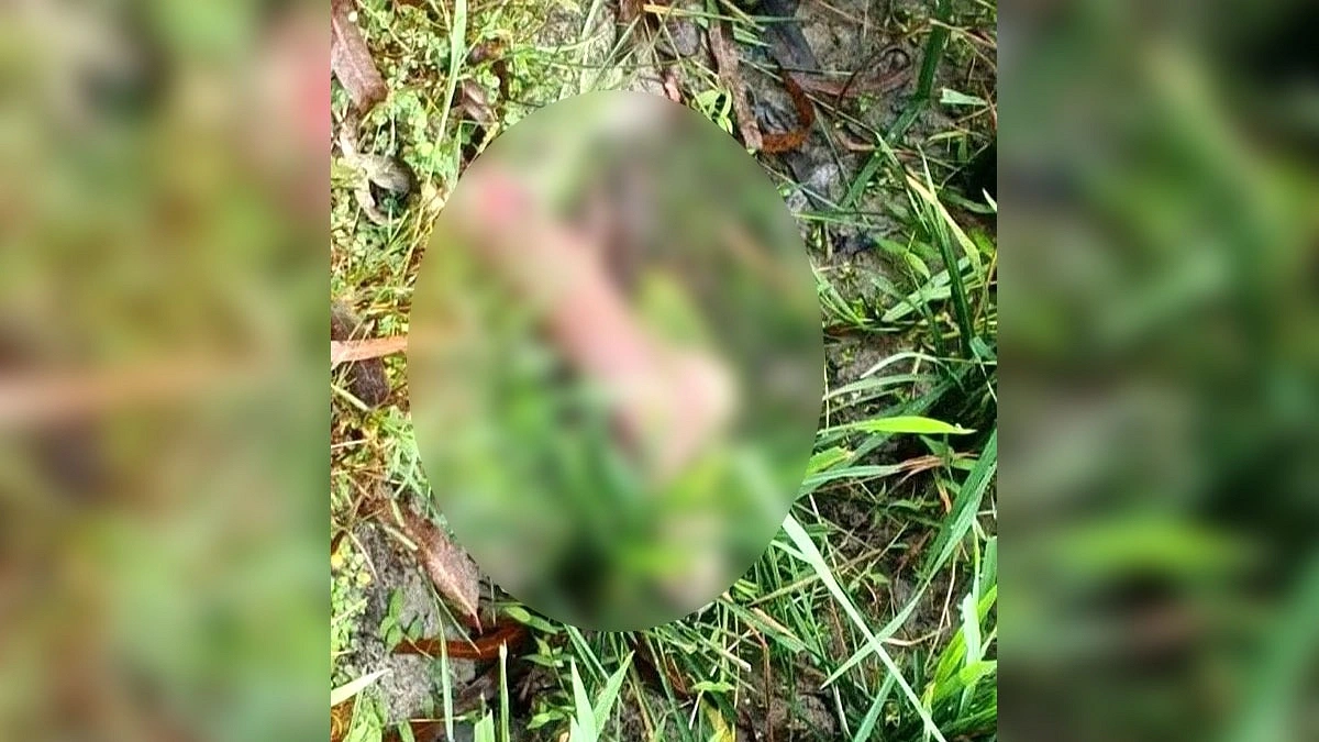 নাগেশ্বরীতে ধানক্ষেত থেকে বিচ্ছিন্ন পা উদ্ধার