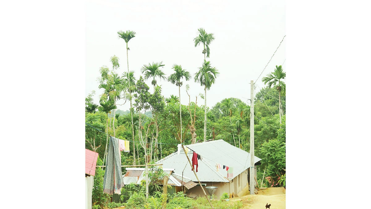 লংলিয়া ছড়া খাসিয়াপুঞ্জিতে