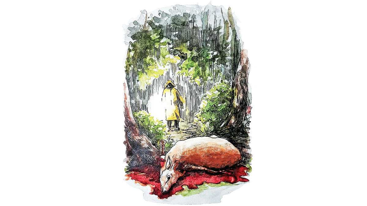 জঙ্গলে অমঙ্গল