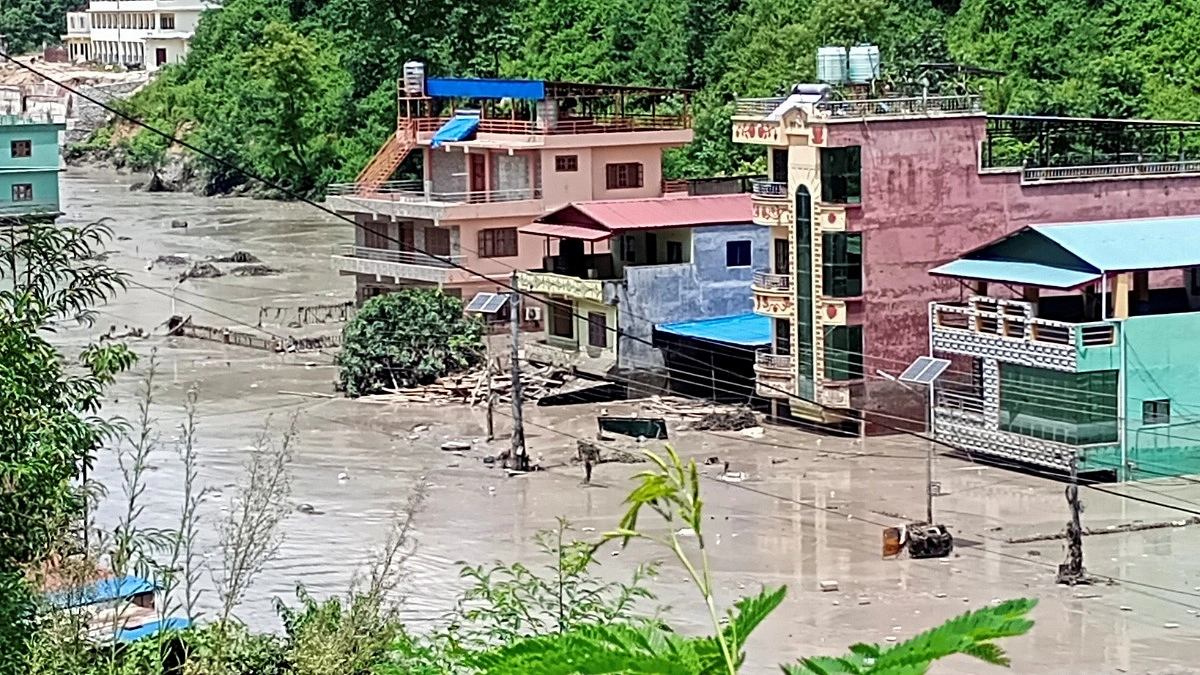 আমগাছ বাঁচাল নেপালি শ্রমিকের প্রাণ