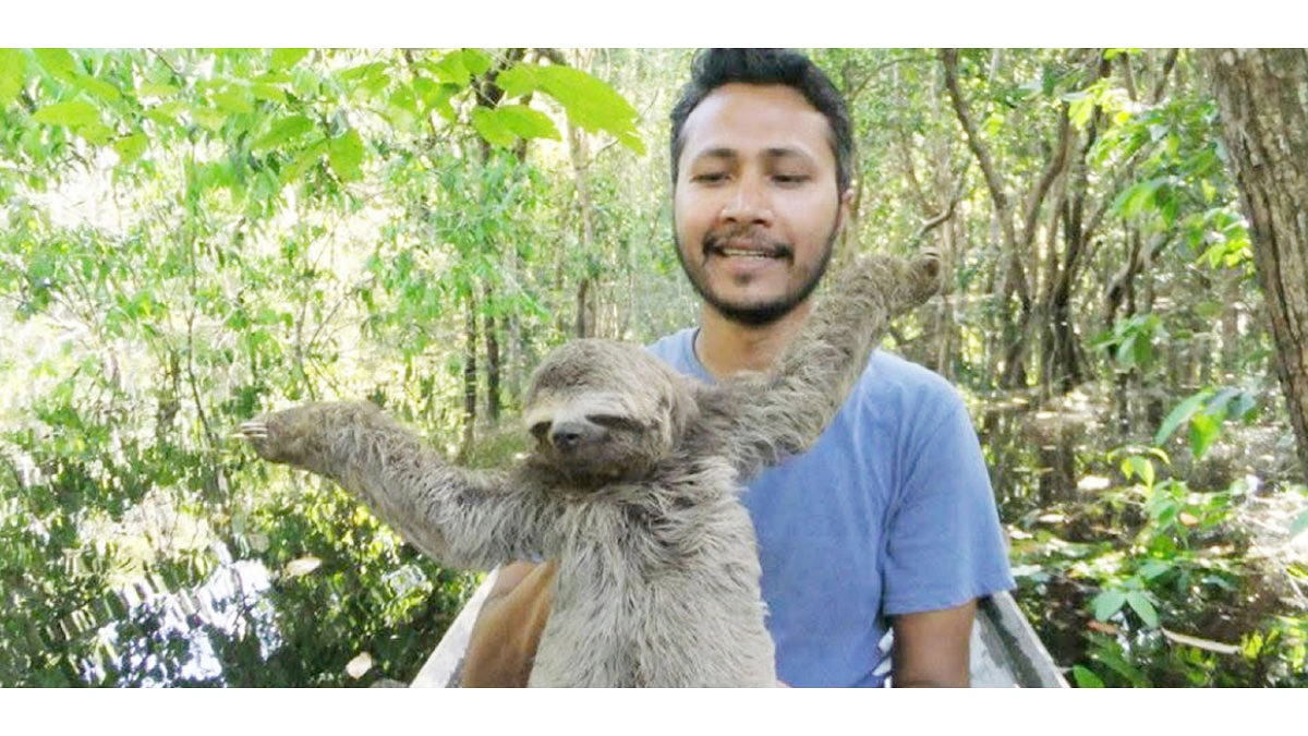 শ্লথ কোলে লেখক