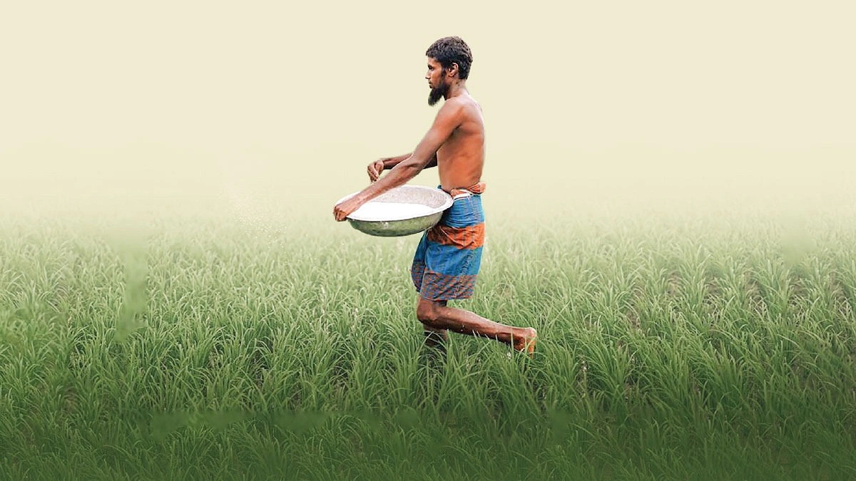 বগুড়ায় সারের দামে দিশাহারা কৃষক