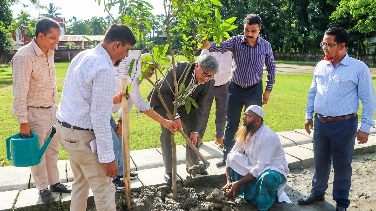 গ্রামীণ ব্যাংকের সুবর্ণজয়ন্তীতে ১ কোটি বৃক্ষরোপণ কর্মসূচির উদ্বোধন