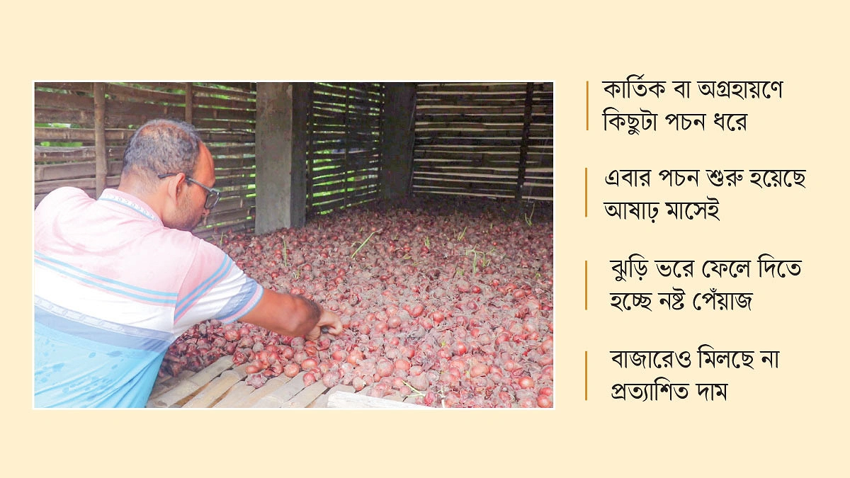 আধুনিক সংরক্ষণাগারেও পচছে পেঁয়াজ