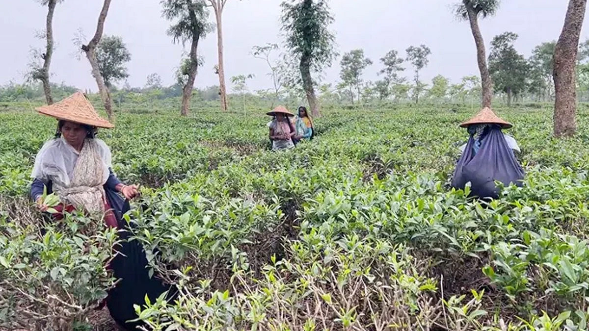 ঘণ্টাটা কলিজায় মারে বাড়ি