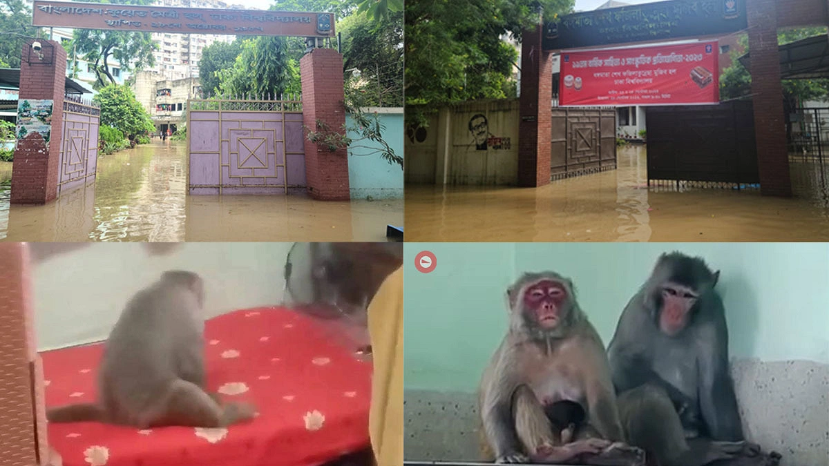 বানে বানরে মানুষের জীবন ঢাকা বিশ্ববিদ্যালয়ের দুই ছাত্রী হলে