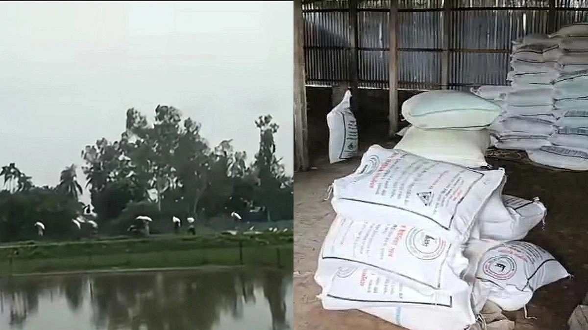 কুড়িগ্রামে সার লুট : শোকজ নোটিস পাওয়া ডিলারের প্রশ্ন কৃষক দল নেতাকে নিয়ে