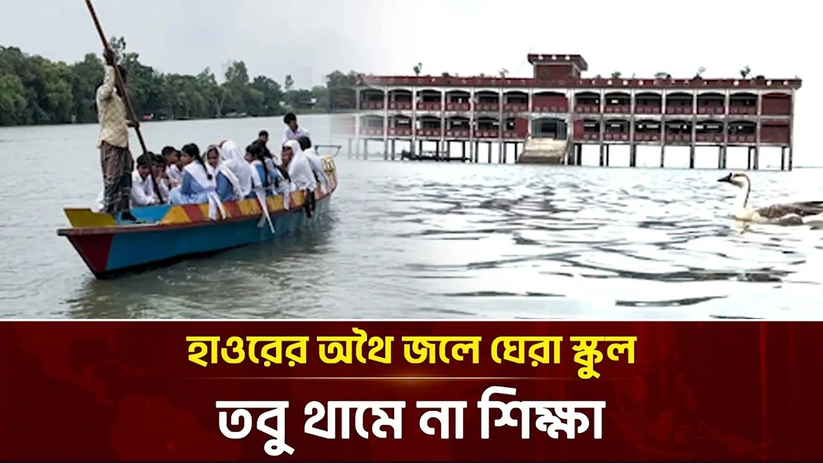 Video news 2