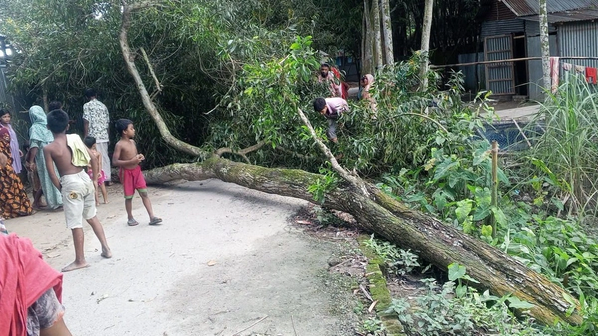 লোডশেডিংয়ে অতিষ্ঠ হয়ে গাছতলায় আশ্রয়, গাছ ভেঙে বৃদ্ধার মৃত্যু