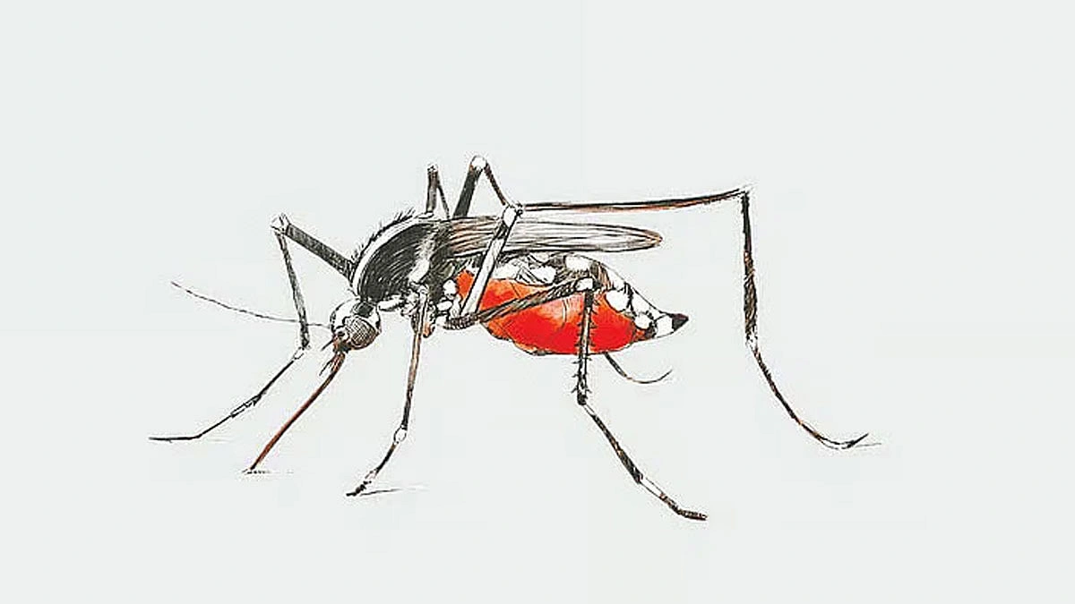 মারা যাওয়াদের ৫৪ শতাংশই নারী
