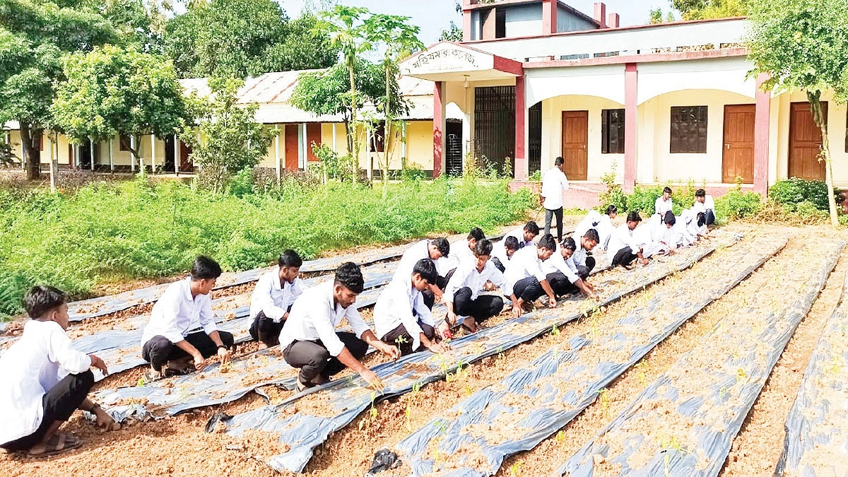 কৃষক গড়েছেন ব্যতিক্রমী কলেজ