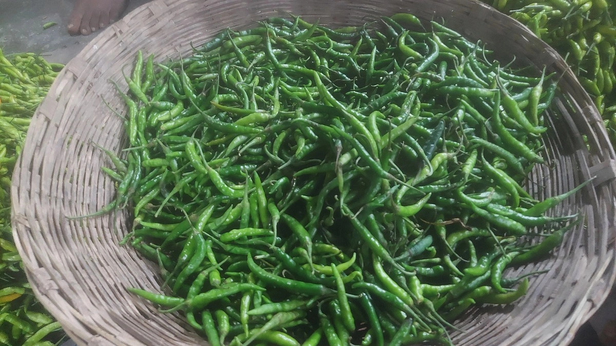 হিলিতে কমেছে কাঁচামরিচের দাম, কেজি ৬০ টাকা