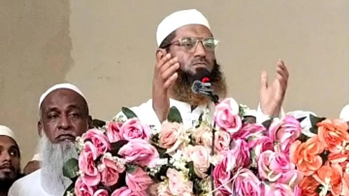 সোনারগাঁয়ের রিসোর্টে আমাকে হত্যার নীলনকশা হয়েছিল : মামুনুল হক