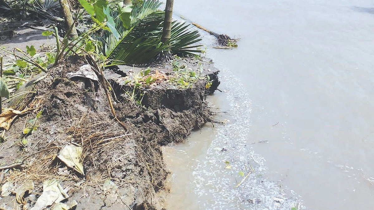বাস্তুহারা হচ্ছে বহু পরিবার
