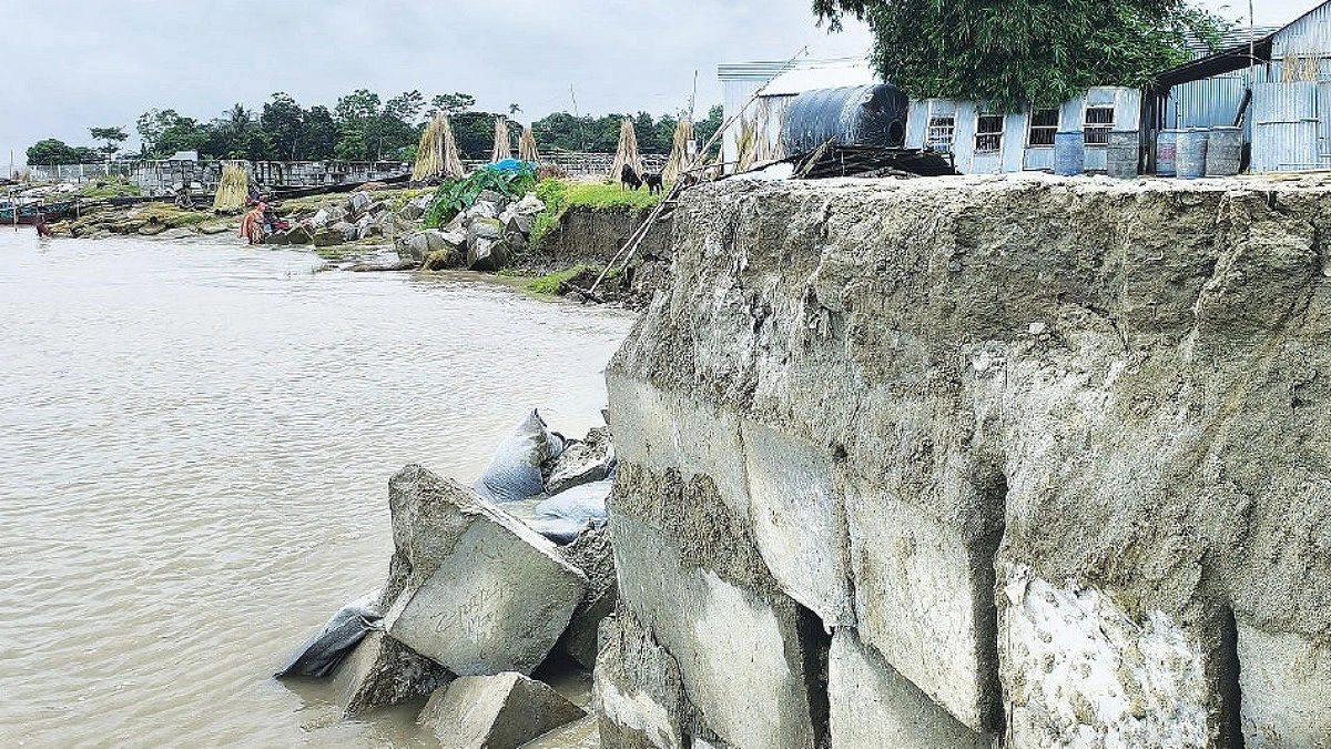 পদ্মার রুদ্ররূপে নিঃস্ব হওয়ার পথে নাজমা