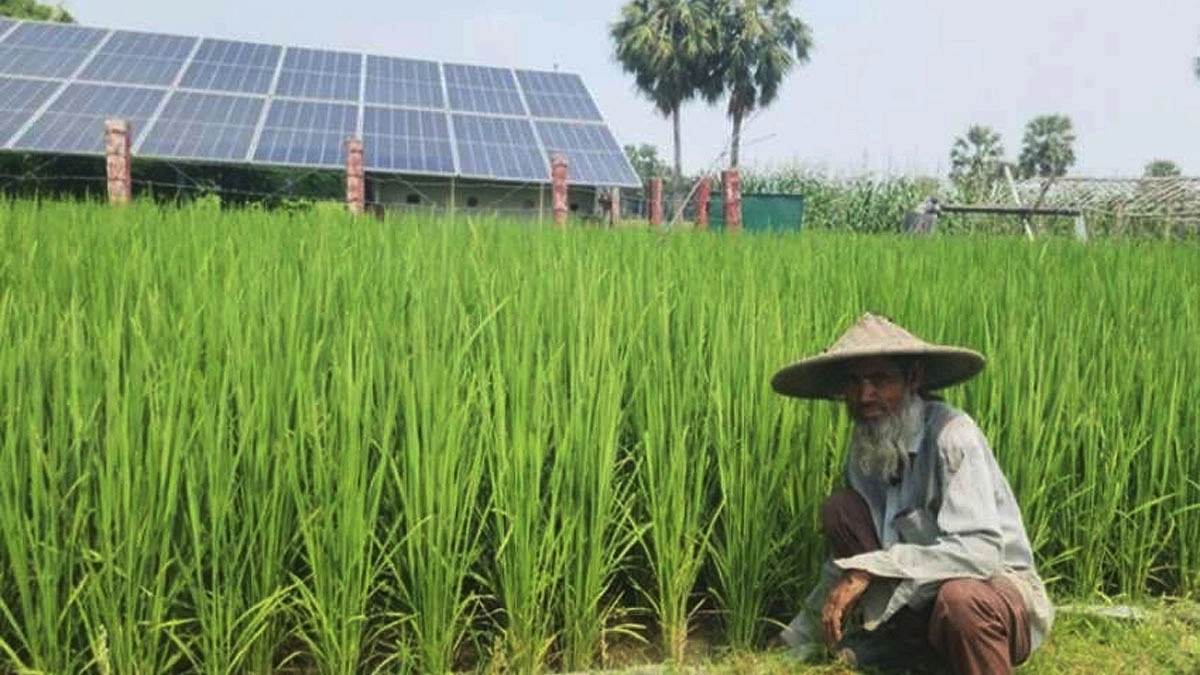 জ্বালানি সংকটে ভরসা সৌরবিদ্যুৎ