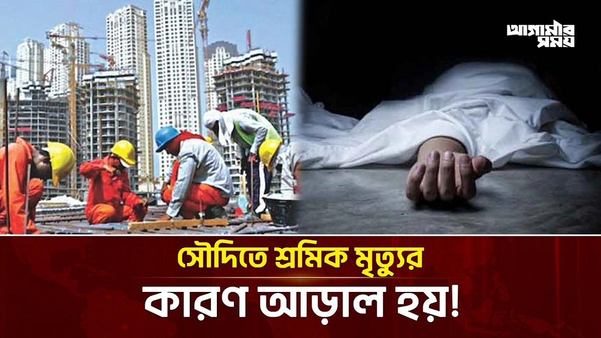 Video news 3