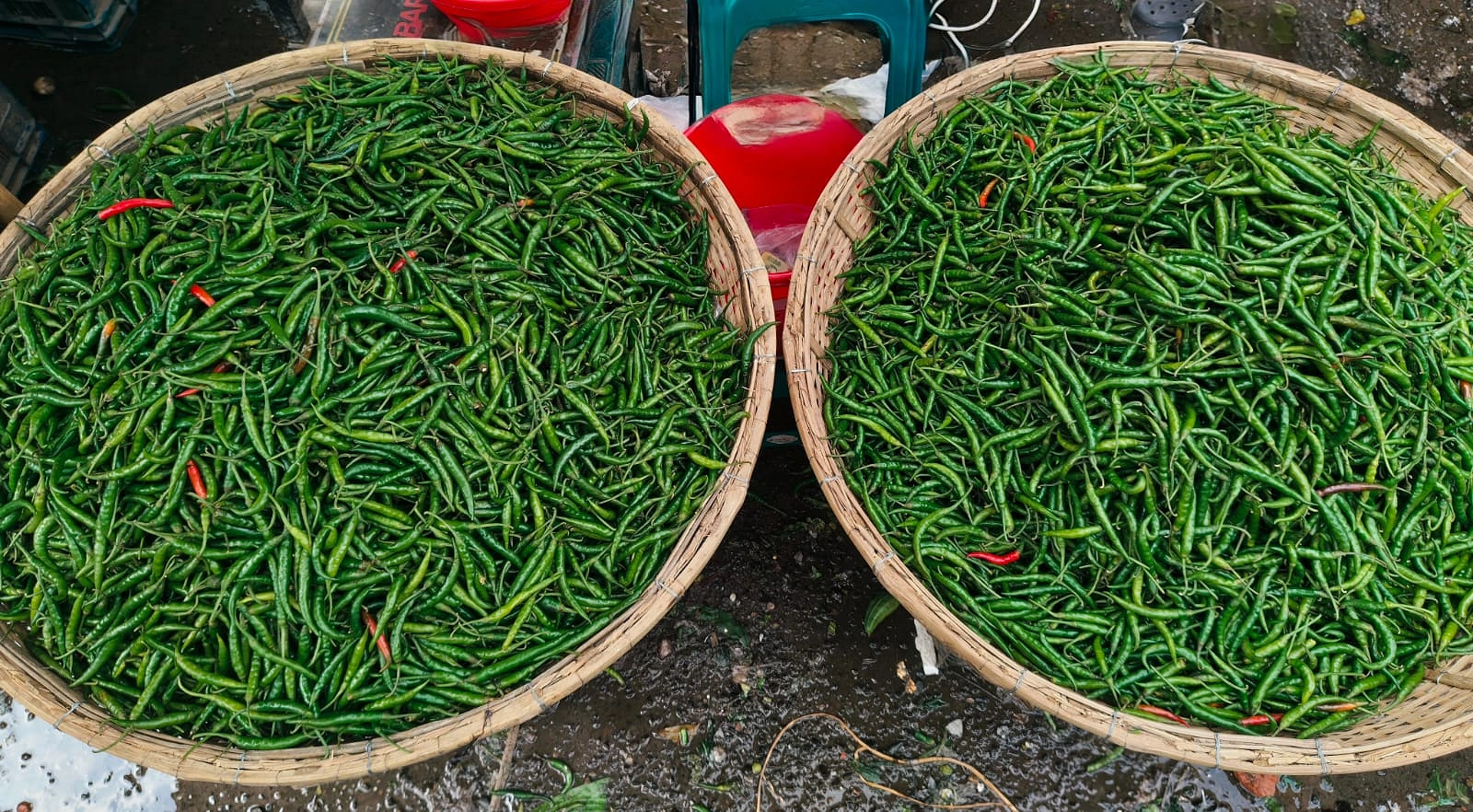 ছবি: আগামীর সময়
