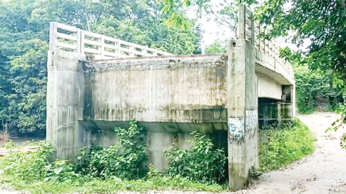 পথহারা গতিহারা