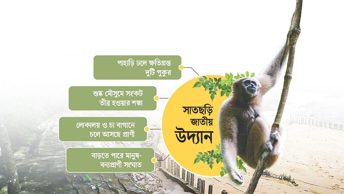পানির খোঁজে প্রাণী লোকালয়ে
