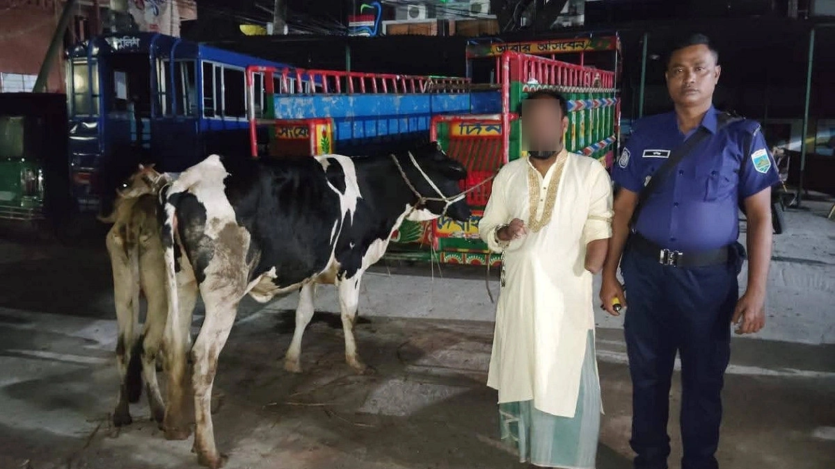 গোপন ঘর থেকে চোরাই গরু উদ্ধার, যুবদল কর্মী গ্রেপ্তার