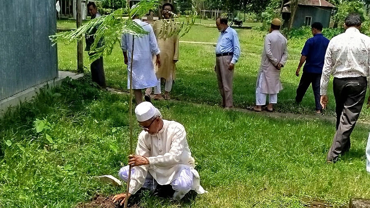 হাজারের বেশি কৃষ্ণচূড়া গাছ রোপণ করেছেন সমীর