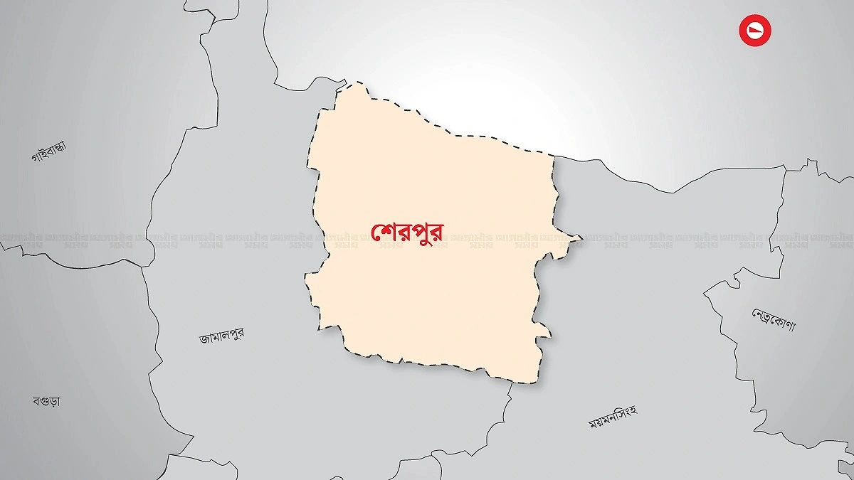 শেরপুর সীমান্তে ৮১ লাখ টাকার ভারতীয় অবৈধ ওষুধ জব্দ
