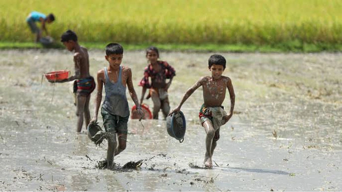 উঠোনে হাঁটু জলে মাছ ধরা