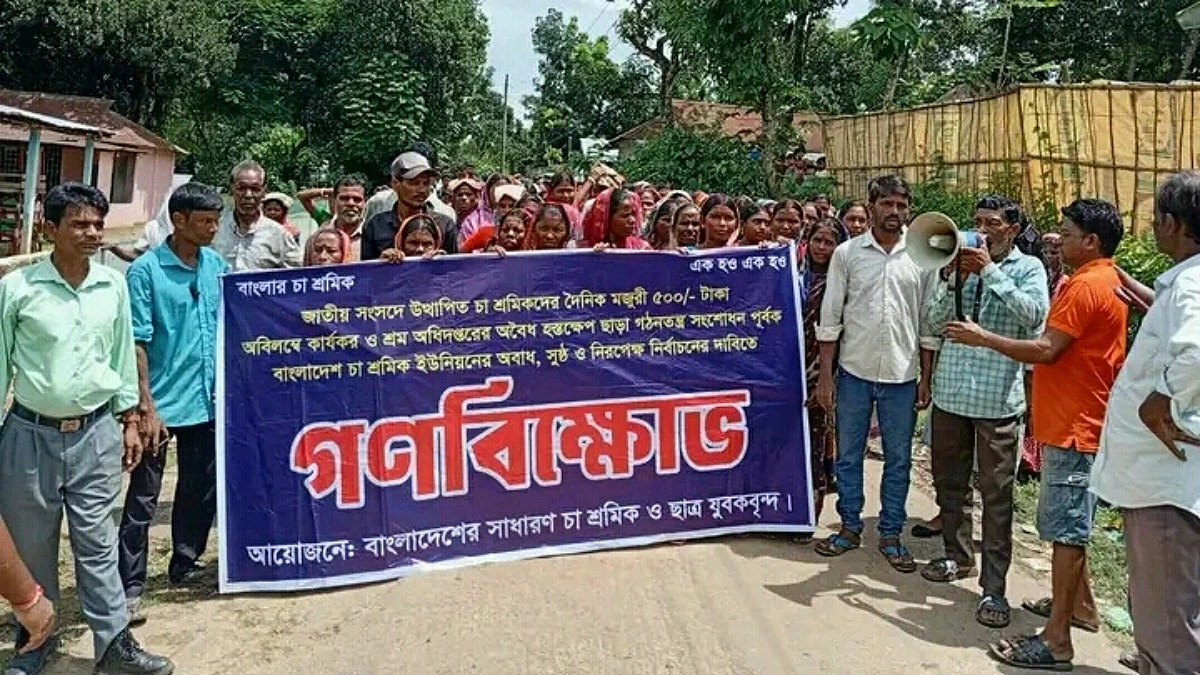 ৫০০ টাকা মজুরির দাবিতে কুলাউড়ায় চা-শ্রমিকদের গণবিক্ষোভ