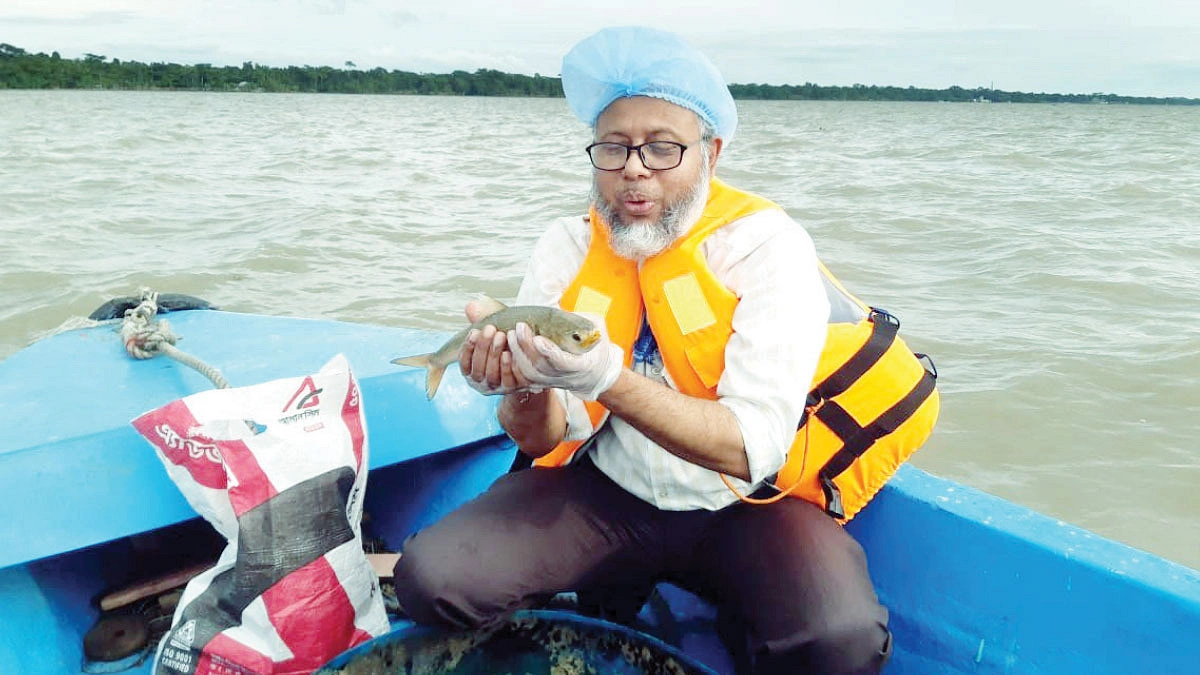 ইলিশের মোহে মোহনায় তেত্রিশ বছর