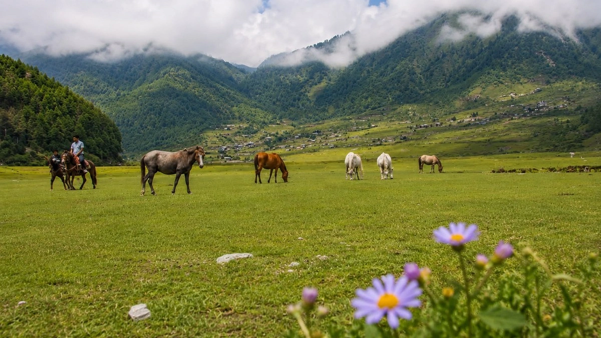 এভারেস্টের বাইরে নতুন আকর্ষণ ধোরপাটন