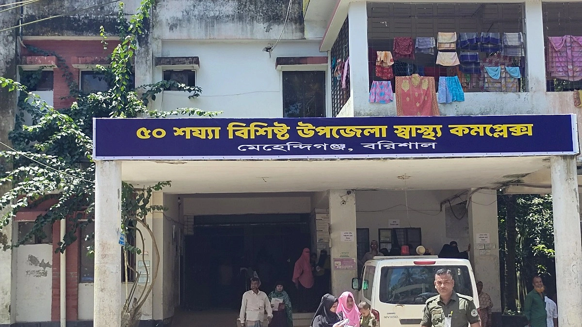 গাছে ওঠাই যেন কাল হলো নাগর ঢালীর