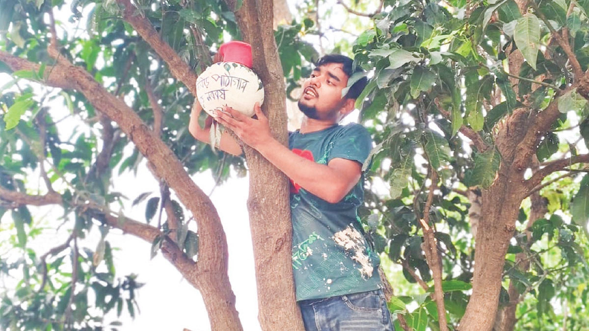 বই পড়াতে পাখি বাঁচাতে নিবেদিত নাহিদ